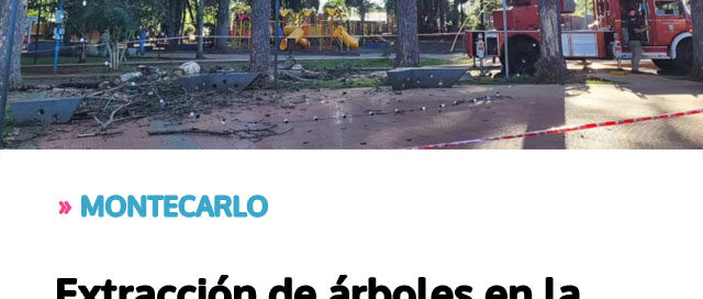 MONTECARLO: Extracción de árboles en la Plaza San Martín por riesgo de caída y plan de reforestación