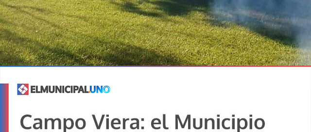 Campo Viera: el Municipio completó tareas de desmalezamiento y fumigación en establecimientos educativos