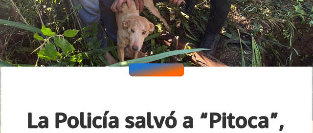 La Policía salvó a “Pitoca”, una perra que estuvo días atrapada en un pozo en Campo Viera
